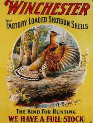 $(KGrHqR,!j!FBuH5eh,3BQh(v)ouzg~~60_57