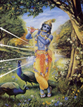 Back-To-Godhead-Supreme-Lord-Krishna