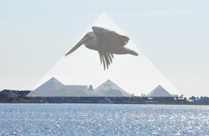 JesseBransfordFourthPyramid